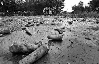 內(nèi)蒙數(shù)萬噸胡蘿卜滯銷 農(nóng)民稱“血本無歸”怨政府