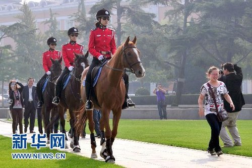 大連騎警每匹警馬日花費(fèi)80元 被指長(zhǎng)官意志產(chǎn)物