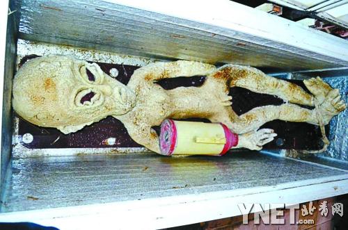 　這就是李某放在冰柜里的外星人（圖片來自網(wǎng)絡(luò)）  