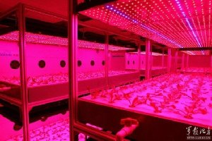 中國(guó)在地球建“月宮一號(hào)”：為移居月球做準(zhǔn)備