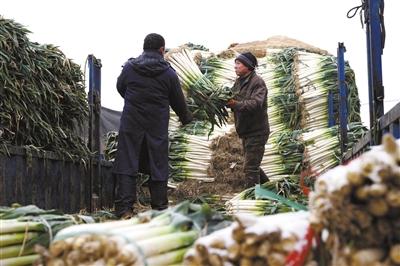多條高鐵因雪降速運(yùn)行 京滬高鐵最慢時(shí)速如單車