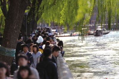 昨天，什剎海景區(qū)人流如織。京華時報記者王苡萱攝