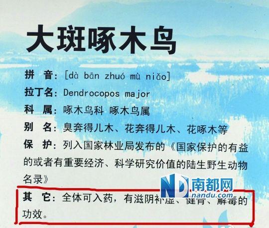 云南景區(qū)鳥(niǎo)類(lèi)介紹牌被質(zhì)疑制成