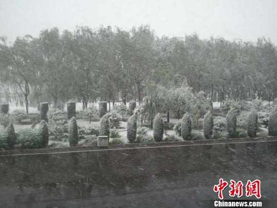 當(dāng)天早晨，山西忻州、朔州一帶突然降雪?！【W(wǎng)友提供攝