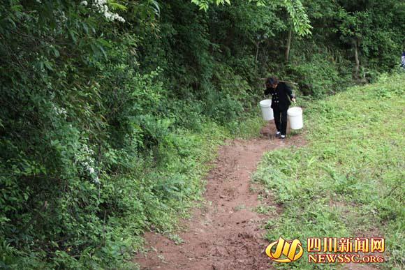 四川渠縣一山村小學(xué)嚴(yán)重缺水 老師挑水挑到哭(圖)