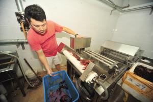 南京80后龍蝦店主花15萬元自制洗蝦機(圖)
