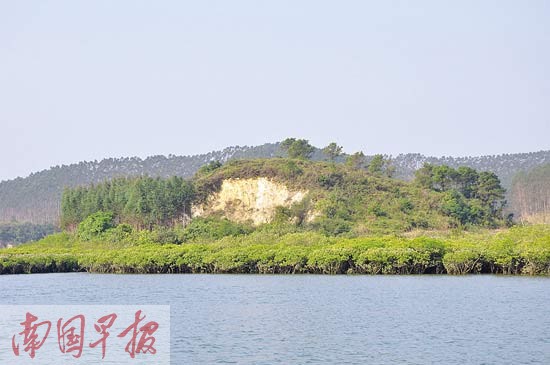 被紅樹林環(huán)繞的穿牛鼻嶺。 自治區(qū)海洋局海域和海島管理處供圖