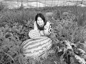 江蘇宿遷培育出112斤重超級“西瓜王”(圖)