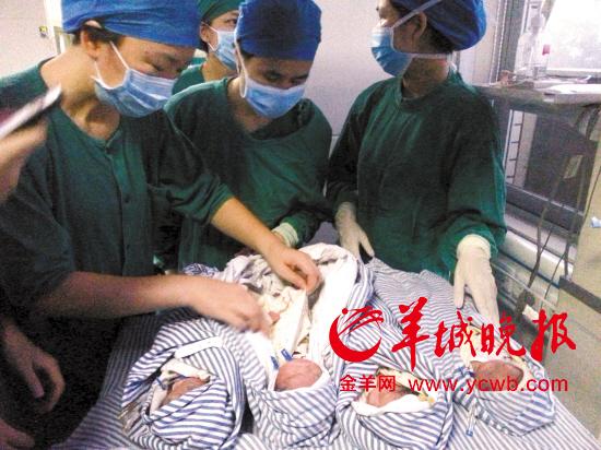 一胎誕下三女一男四嬰兒