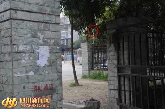 2歲娃在媽媽眼皮下被搶走 過(guò)后被人從菜場(chǎng)撿回