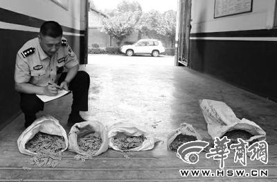 多名施工人員和居民私自將古幣帶走 寶雞警方已追繳約40公斤