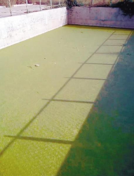 遼寧某食品廠院內(nèi)藏神秘作坊 加工制藥銷路不明