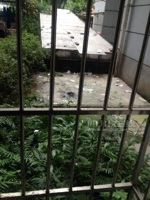 成都13歲女孩疑因玩手機(jī)被沒收 從11樓墜亡