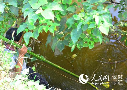 安徽望江男子為救落水老人不幸犧牲(組圖)