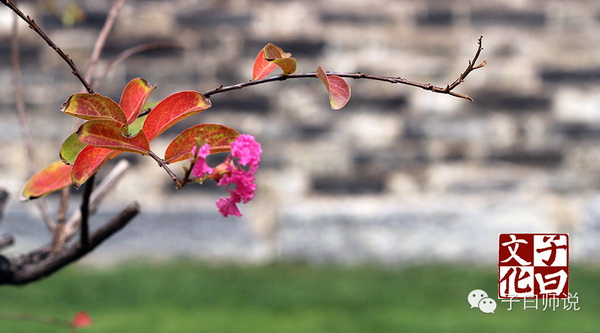 國學(xué)與社會主義核心價值觀——友善
