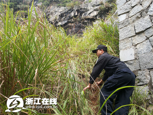 杭州退休教師上山摘獼猴桃失蹤8天 墜崖身亡(圖)
