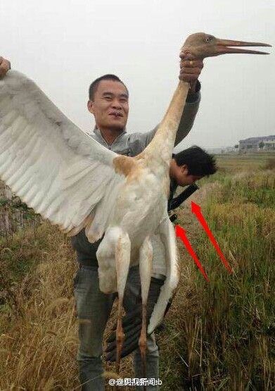 男子被曝在雅魯藏布大峽谷獵殺白鶴和豹貓(圖)