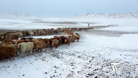 下半年首次寒潮今起將橫掃我國大部