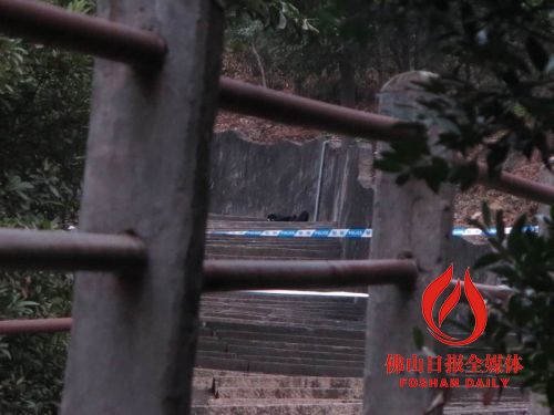 事發(fā)現(xiàn)場。/佛山日報記者張少鵬攝