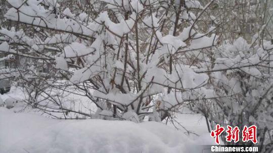 新疆北部遭遇大風(fēng)大雪致多條公路通行受阻(圖)