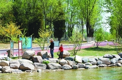 北京世園會的綠色輻射力