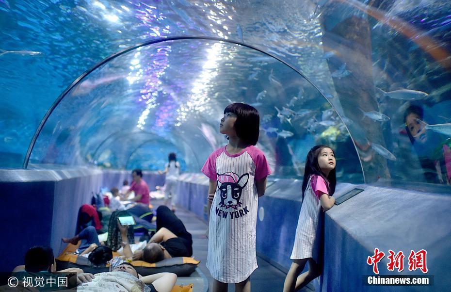 夜宿海洋館！探秘海底世界奇妙夜