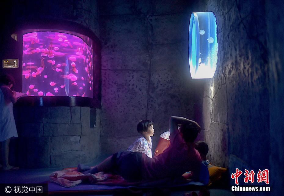 夜宿海洋館！探秘海底世界奇妙夜