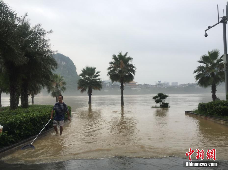 廣西柳江河出現(xiàn)小洪峰 市民江邊溜狗釣魚抓蝦