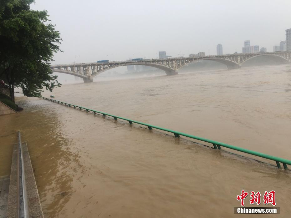 廣西柳江河出現(xiàn)小洪峰 市民江邊溜狗釣魚抓蝦