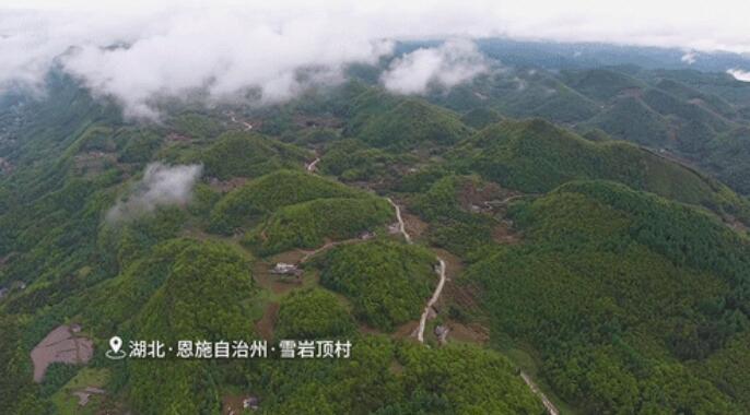 鏡頭中的脫貧故事|打井修路為致富