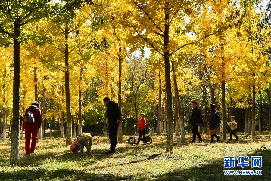 （新華全媒頭條·圖文互動）（11）北京城市副中心：美好藍圖 徐徐打開