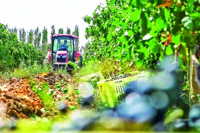 “全面小康道路上，我們要奮力奔跑不掉隊”