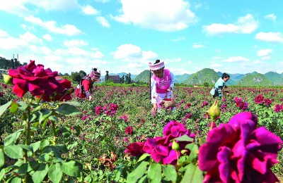 “全面小康道路上，我們要奮力奔跑不掉隊”