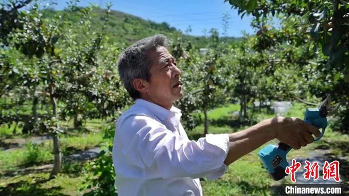 甘肅逾2萬名農(nóng)民獲評職稱“田秀才”獻“智”鄉(xiāng)村沃土