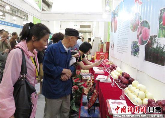 天水組團參加全國優(yōu)質(zhì)農(nóng)產(chǎn)品博覽會 花牛蘋果受青睞