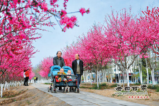 3月29日，市民在天水市藉河風(fēng)情線羅玉小區(qū)段散步。近年來(lái)，天水市不斷加大城市綠化工作力度，城區(qū)綠地覆蓋率已達(dá)32.97%。