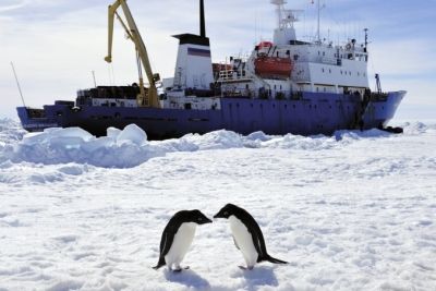 中國直升機成功救出俄科考船52名被困南極乘客