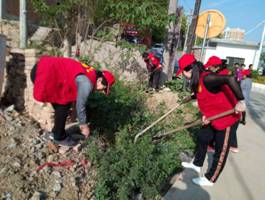 5f446c731cc8064aa17691d8b080972