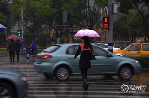 溫州對“中國式過馬路”開出第一張罰單