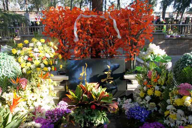 法制戰(zhàn)線領(lǐng)導(dǎo)人彭真之墓