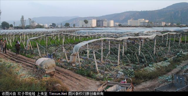 鐵血網(wǎng)提醒您：點(diǎn)擊查看大圖