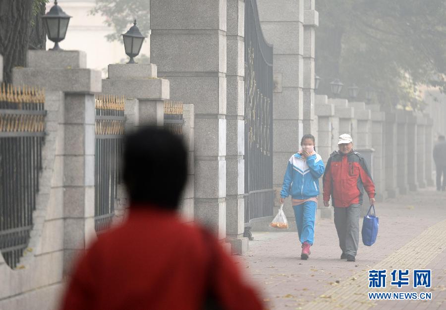 （生態(tài)）（4）哈爾濱重度霧霾致中小學停課