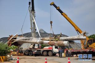 #（法制）（1）廣西柳州警方找回被盜300余歲古樹