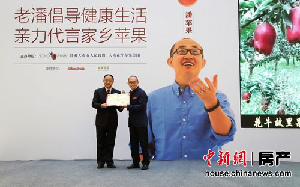 潘石屹代言家鄉(xiāng)蘋果銀河SOHO將免費(fèi)提供商鋪