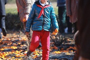 河北唐山貨車側(cè)翻35噸鮮桔遭哄搶