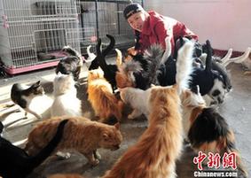 “狗媽媽”收養(yǎng)90余只流浪狗用愛撐起“大家庭”