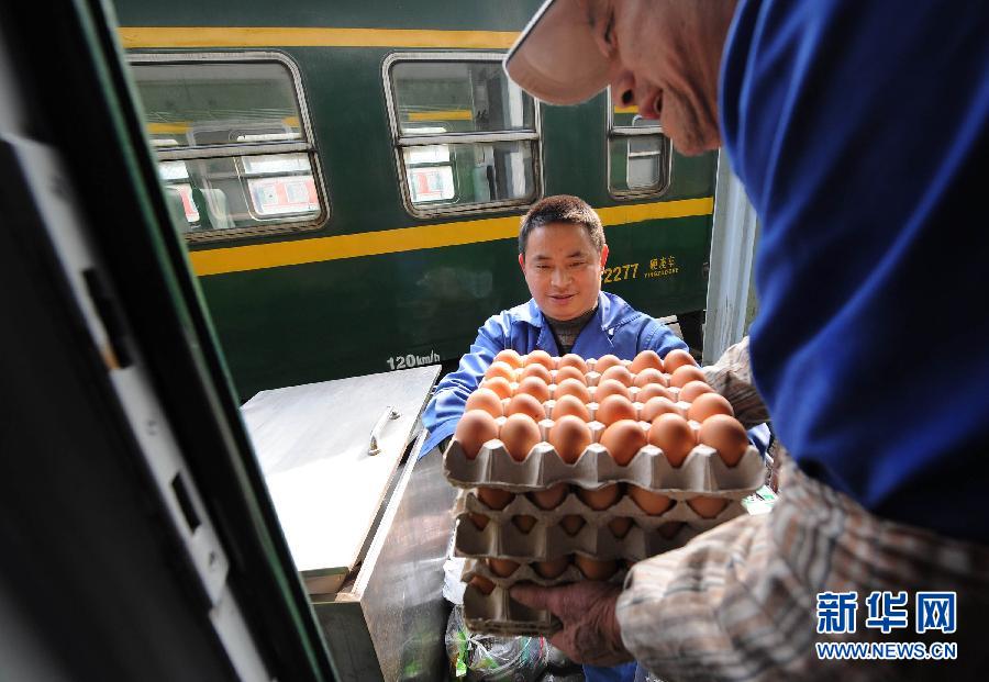 （社會(huì)）（3）重慶開行2014春運(yùn)首列臨客列車