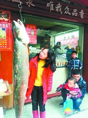 這條鳡魚比11歲大的孩子高出一個(gè)頭。