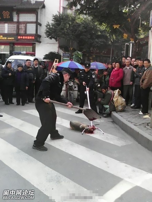 有網(wǎng)友發(fā)微博稱，3月4日，在四川南充閬中市賓館門口，有警察當(dāng)街將一只＂流浪狗＂打死，狗的主人，一名流浪人員一直牽著綁狗的鐵鏈沒有松手。（圖片來(lái)源網(wǎng)路）
