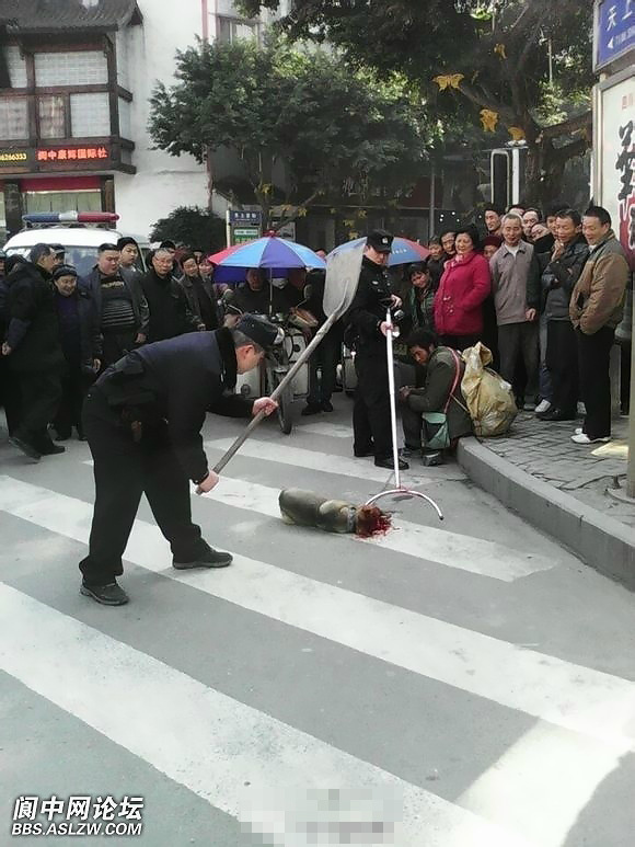 有網(wǎng)友發(fā)微博稱，3月4日，在四川南充閬中市賓館門口，有警察當(dāng)街將一只＂流浪狗＂打死，狗的主人，一名流浪人員一直牽著綁狗的鐵鏈沒有松手。（圖片來源網(wǎng)路）